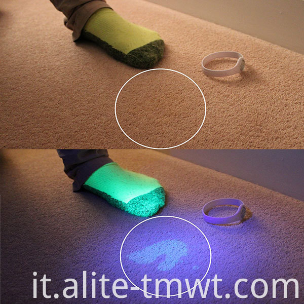 DETTATORE DI URINE PET URINE ULTRA VIOLET 395NM 14 Torcia torcia UV LED per esterni di emergenza